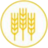 cereals allergen